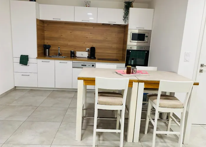 Apartman Michelangelo *